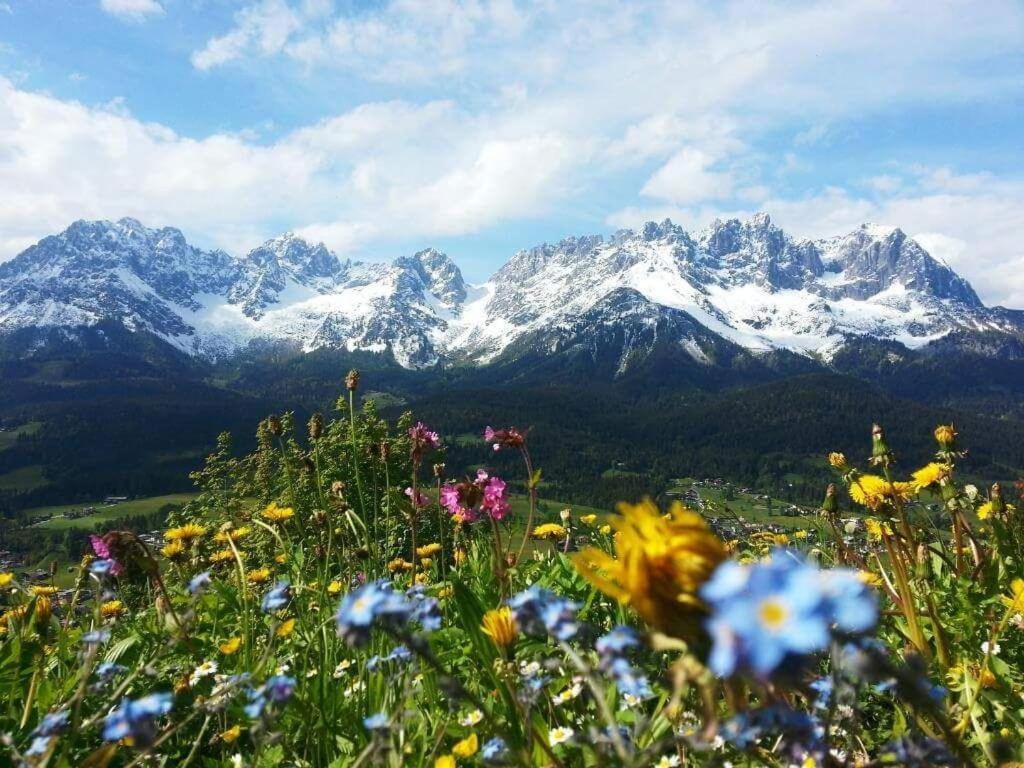 Luxuschalet Happy Home Tyrol エルマウ エクステリア 写真